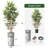 Artificial Tree in Contemporary Planter Fake Bamboo Silk Tree (Plant Pot Plus Tree)-103687336