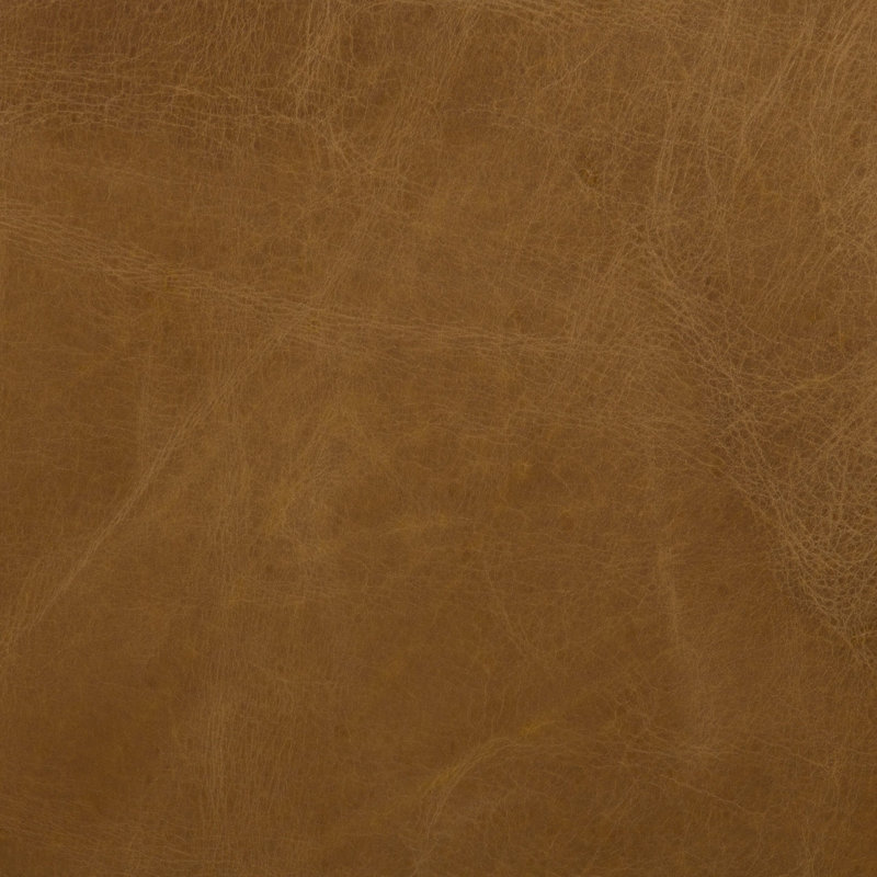 Tanesia 4 Seater Genuine Leather Sofa, Caramel, 80cm H x 295cm W x 90cm D