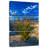 Harnek Ocotillo In Anza Borrego-108670345