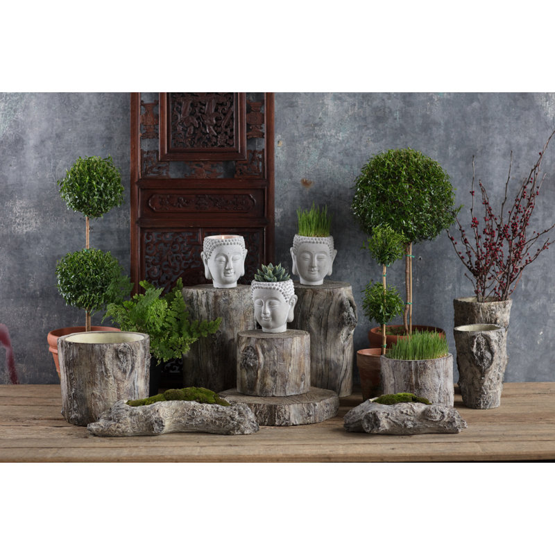 Caines Pot Planter, 8" H x 9" W x 9" D