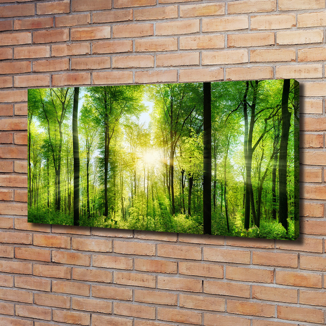 Wald in der Sonne - Kunstdrucke auf Leinwand - Wrapped Canvas