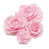 Rose clair est en rupture de stock
