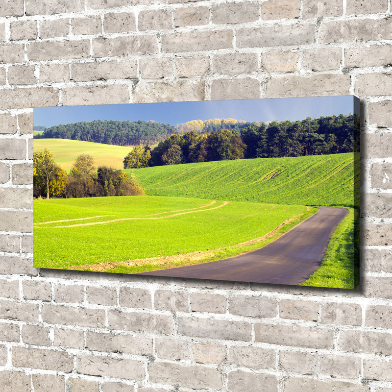 Dirt Road - No Frame Print on Canvas