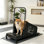 Tapis roulant pour chien de taille moyenne - Tapis de course Dog Pacer pour des animaux en santé et en forme - Tapis roulant pour chien