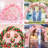 Plastic Backdrops & Signs