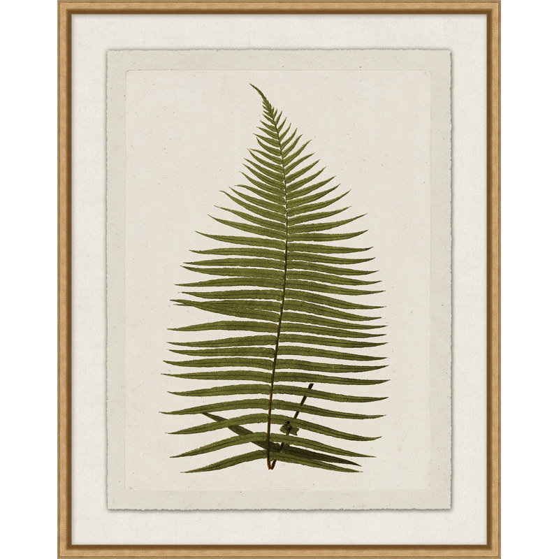 Plant Presses 6 Print by Lillian August