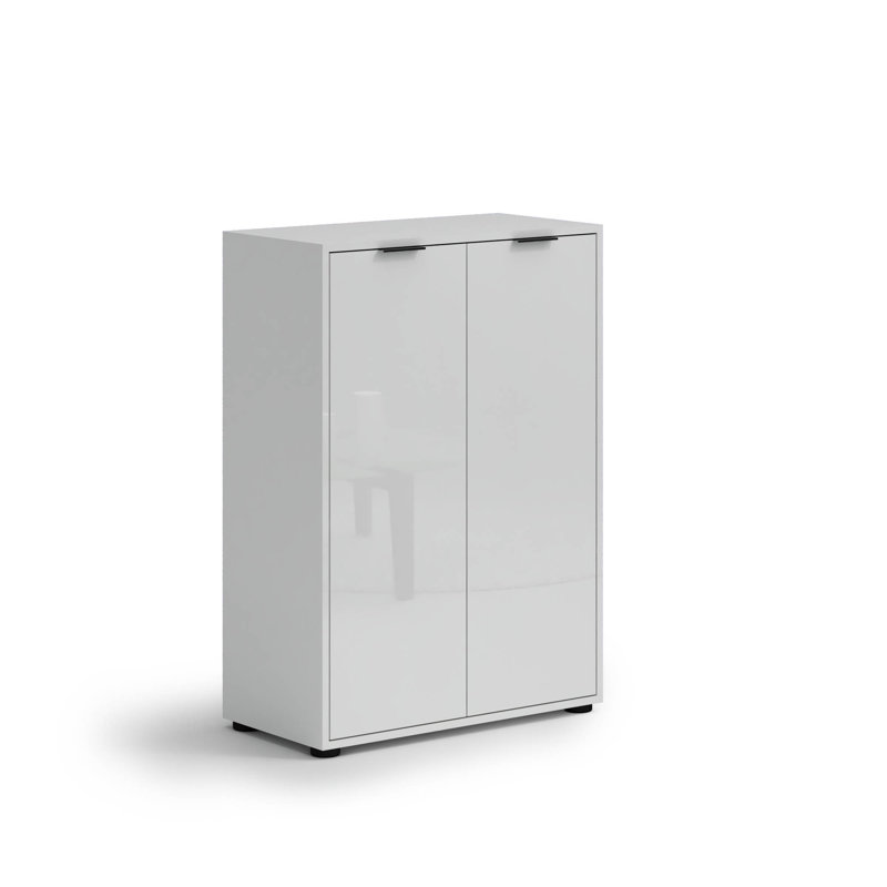 Bhagipuri 30 Pair Shoe Storage Cabinet