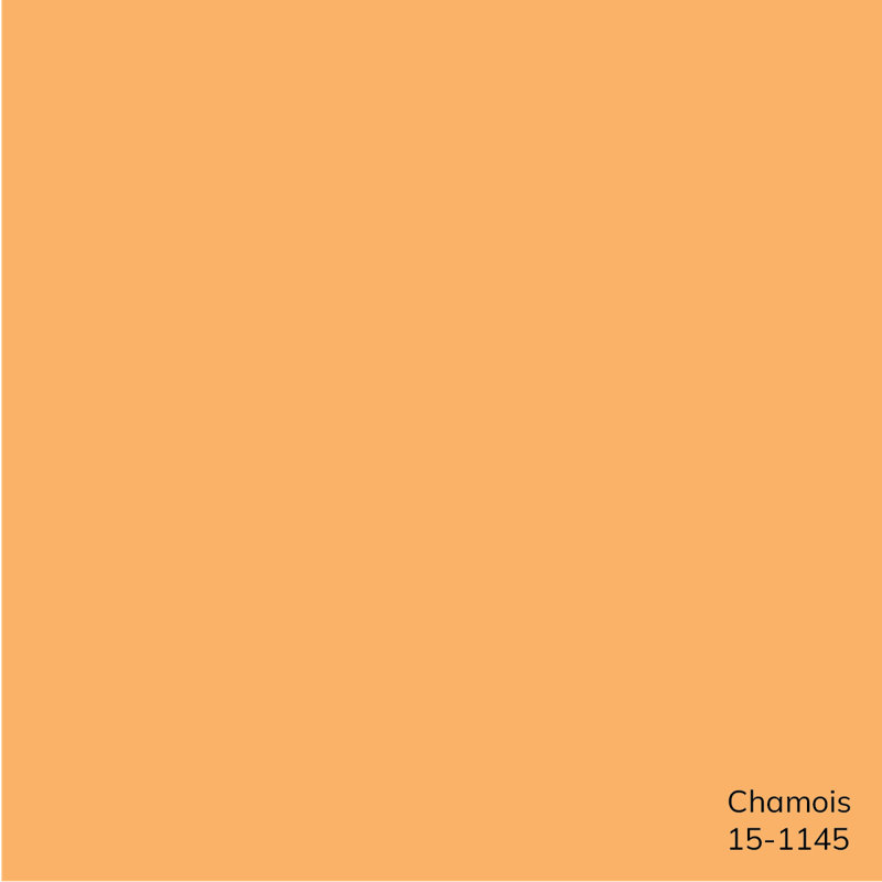 Puako Accent Pillow, H 18 po x l 18 po, Orange, Mélange de duvet