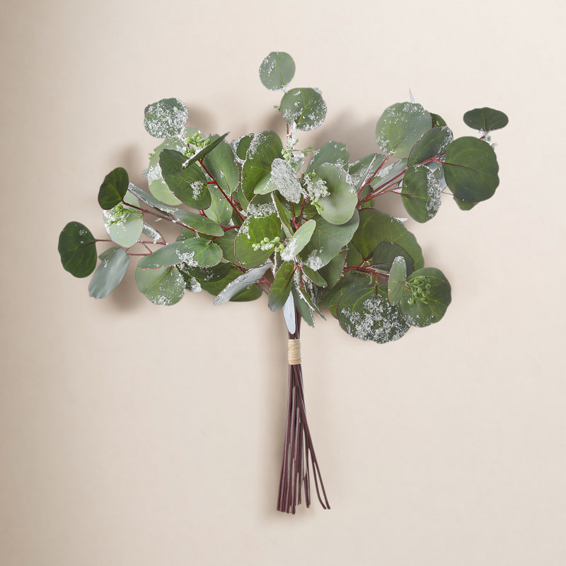 Paquet de tiges mixtes d'eucalyptus givré