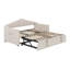 Twin Size Daybed With Trundle