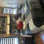 Photos des clients 1 de 1