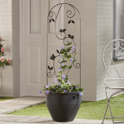 Sharlene 120cm H x 40cm W Metal Trellis