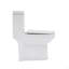 Toilette monobloc en céramique pour salle de bain, 12 po à chasse brute, 1,1 / 1,6 GPF, double chasse avec siège à fermeture en douceur, double chasse puissante CARTE 800G