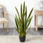 Bleecker, plante serpent artificielle en pot-1456223625-1456223626