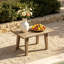 Table d'appoint d'extérieur en bois massif l 19,6 po Polett -1698035753