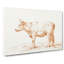 The Study Of A Cow by Jean Bernard - Wrapped Canvas Painting-55358461