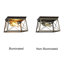  Farmhouse-Style Two-Toned 2 Light Ceiling Flush Fixture 12" Wide