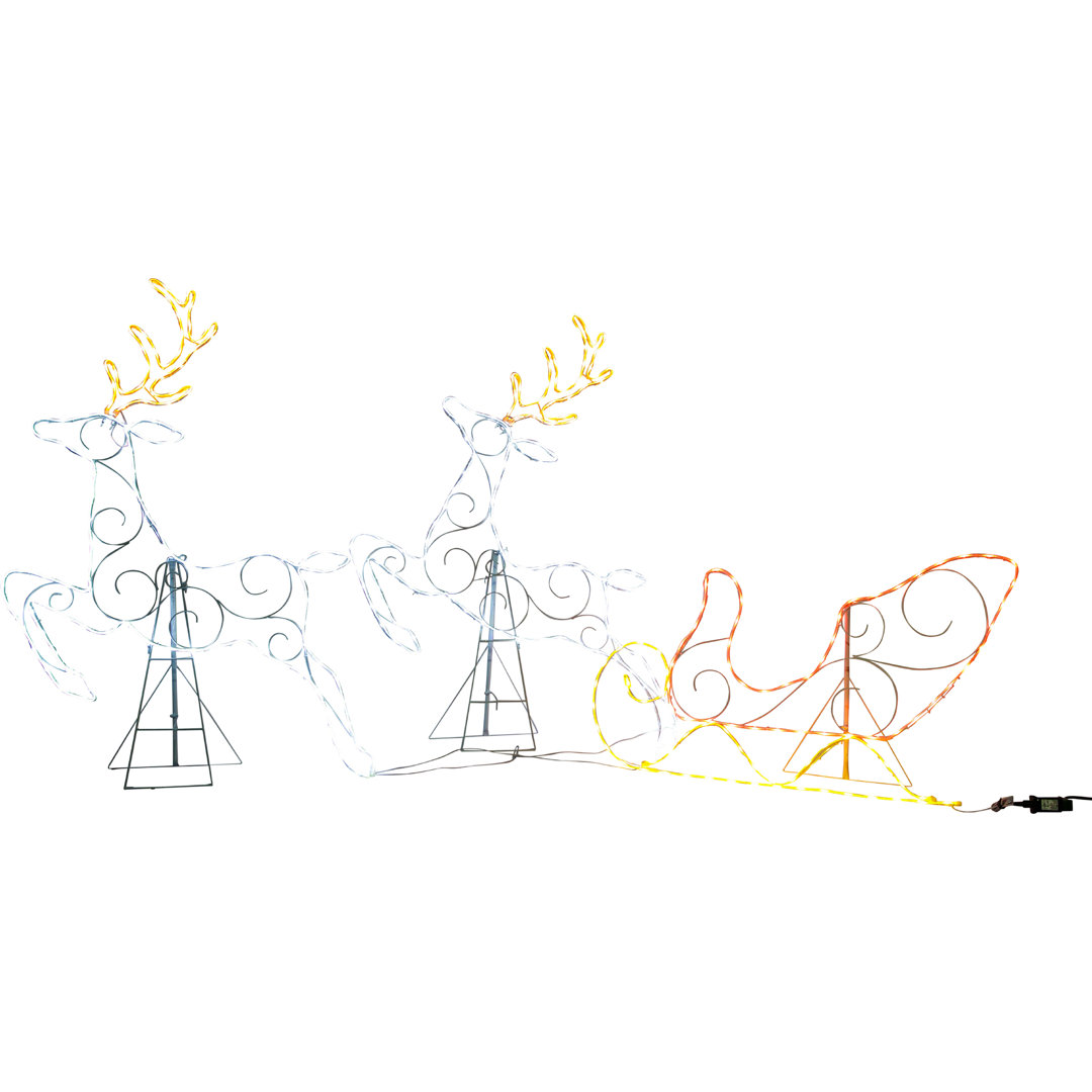 Sleigh with Deer Lighted Display The Holiday Aisle®