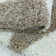 Tappahannock Shag Area Rug