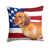 Dachshund