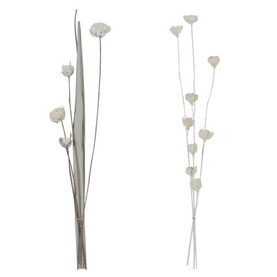 Cotton Arrangement