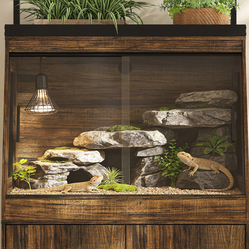 real money tree plant Money Tree | Indoor Plants main image 0