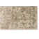 Oriental Indoor Rug