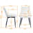 Birkland 19.68'' H Tufted Velvet Upholstered Metal Side Chair-1268497186
