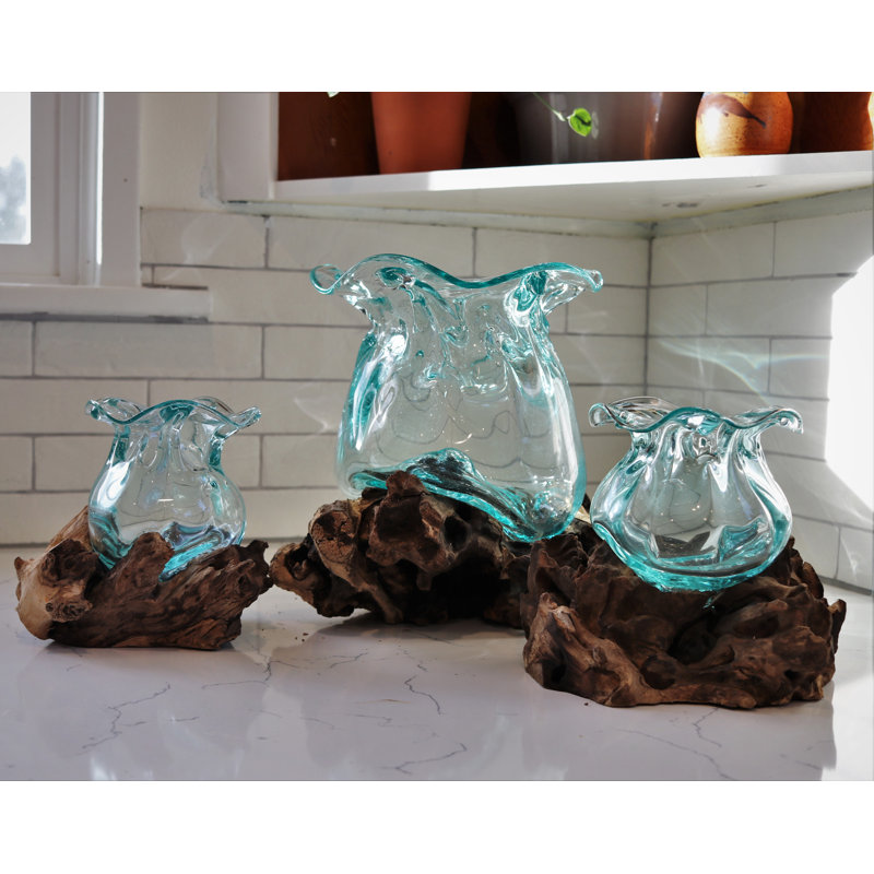 Terrarium de lotus