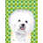Bichon frisé 1