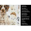 Serviette de cuisine Coffee Bar-1234934462