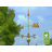 33'' H Metal Novelty & Humor Weathervane