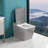 Modern Square Smart Toilet With Remote Control, Heated Seat, Auto Flush & Foot Sensor-128993278