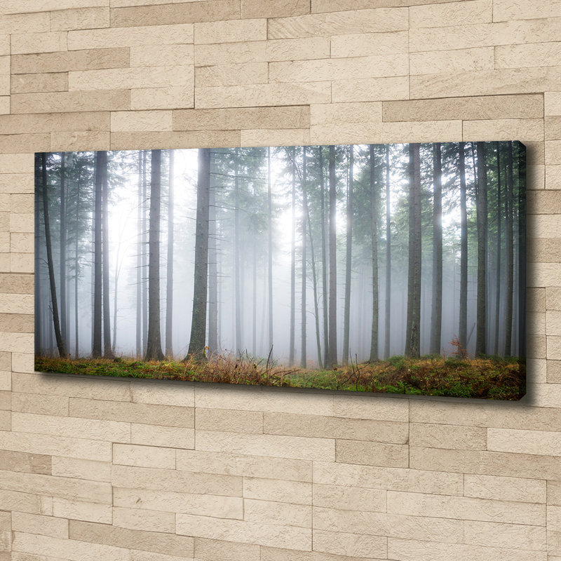 Fog In The Forest - No Frame Print on Canvas