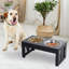 Bols pour chien surélevés PawHut-36071667