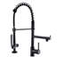 Robinet d'évier de cuisine noir et nickel avec robinet rétractable - remplissage en céramique, eau froide chaude, poignée simple de style accessoire moderne, options d'eau, robinet rouille, contemporain