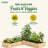 Wood Raised Garden Bed-1781666356