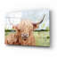 «Highland Grazer II» par Victoria Borges, art mural en verre acrylique-101650253