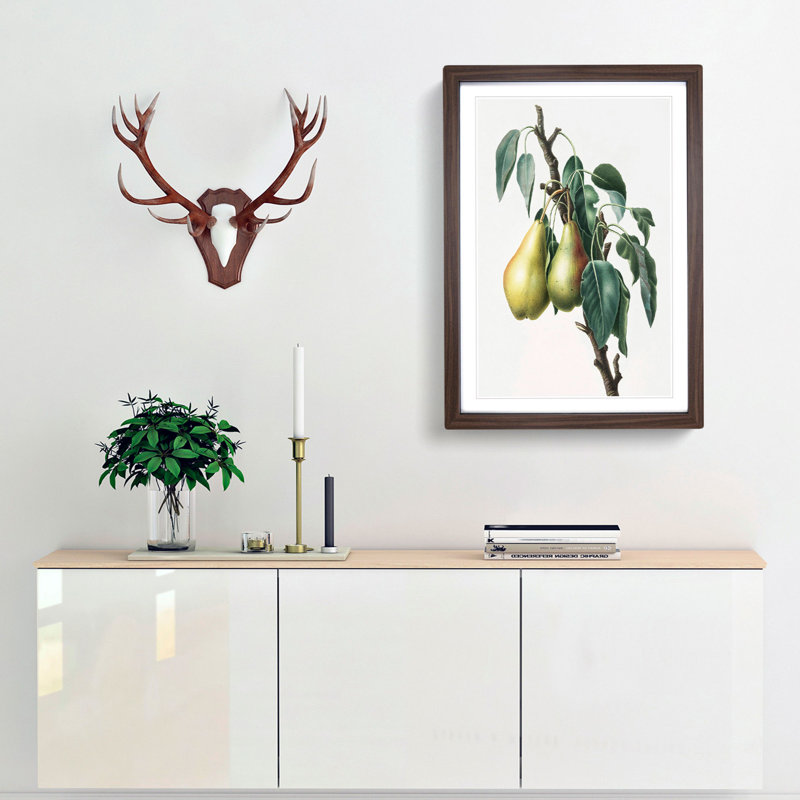 Lemon Pear Tree by Giorgio Gallesio - Picture Frame Painting Print, 36cm H x 27cm W x 2cm D, Walnut Framed