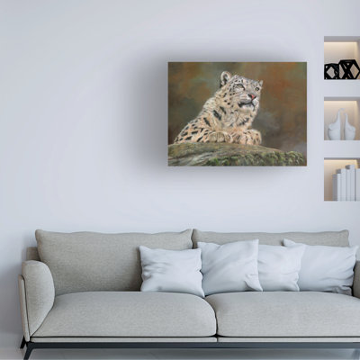 «David Stribble Snow Leopard Rock», art sur toile