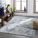 Montmiral Oriental Indoor Rug