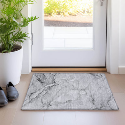 Wellsboro Indoor/Outdoor Area Rug with Non-Slip Backing