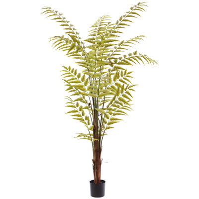 8' Leather Fern Tree in Plastic Pot (knock-Down Packing) Green