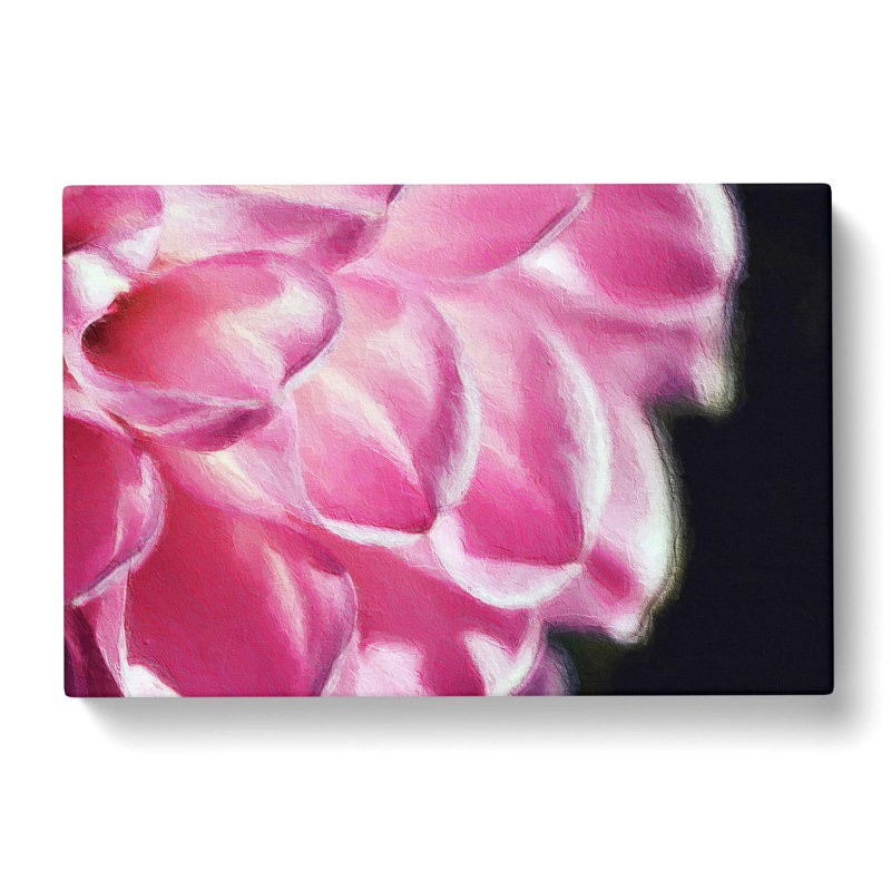 Petals Of A Pink Dahlia - Wrapped Canvas, 40cm H x 60cm W x 3cm D