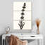 Harnek Ink Botanical Sketch IV-108612668