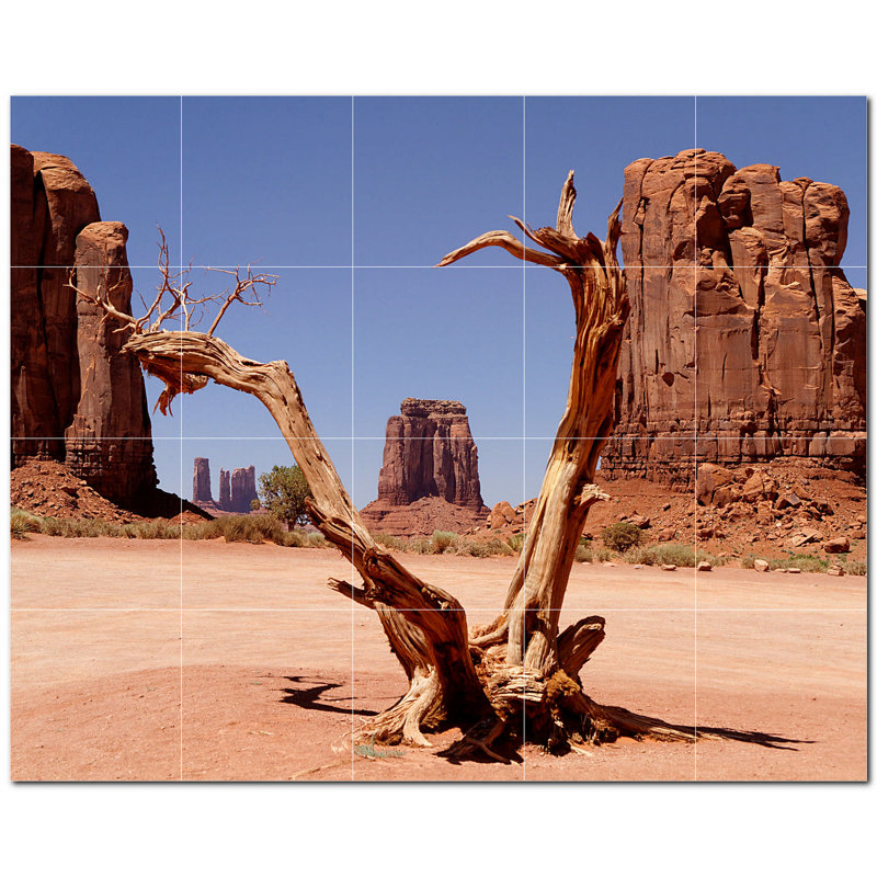 Photo de canyon 12 x 12