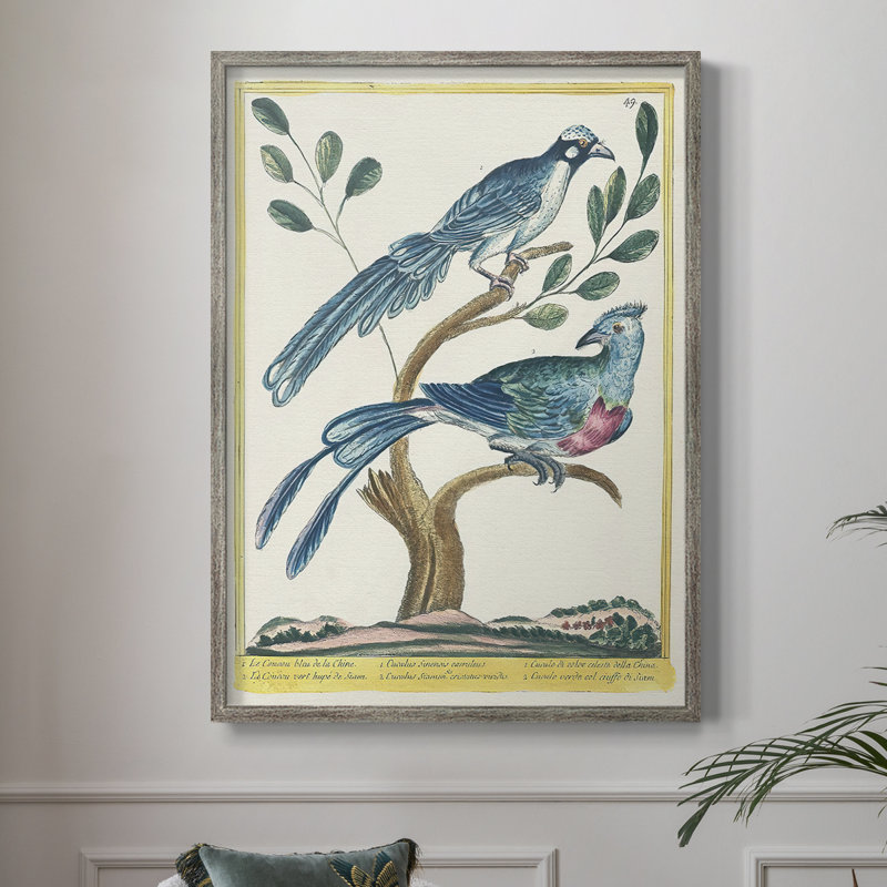 Pastel Birds VI Framed Print - Solid Wood