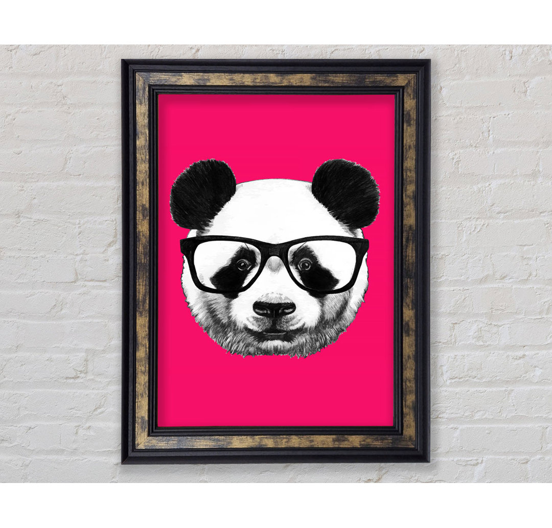 Funky Panda - Druck