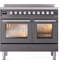 ILVE Professional Plus II 40 in Induction Range-1497320347