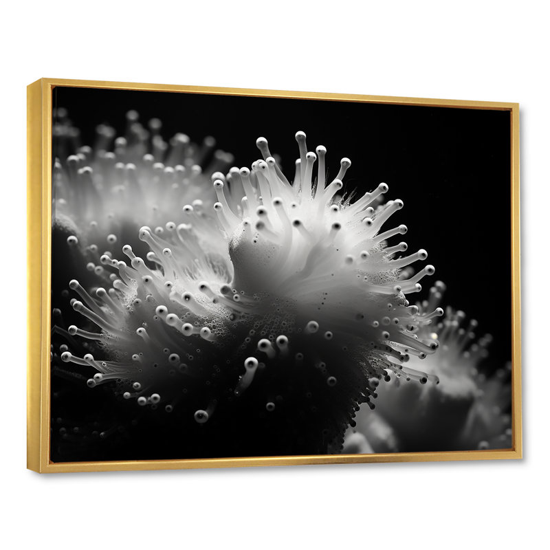«The Charm Of Pufferfish», reproduction d'art sur toile, Cadre flottant doré, H 12 po x l 20 po x P 1 po